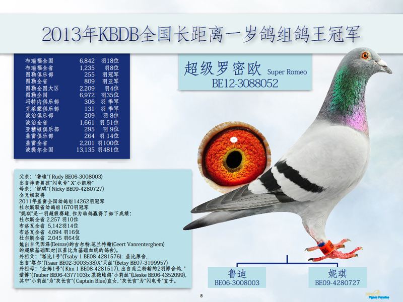 ��Ƶ���ͣ��Ǳ����롰��������ŷ��