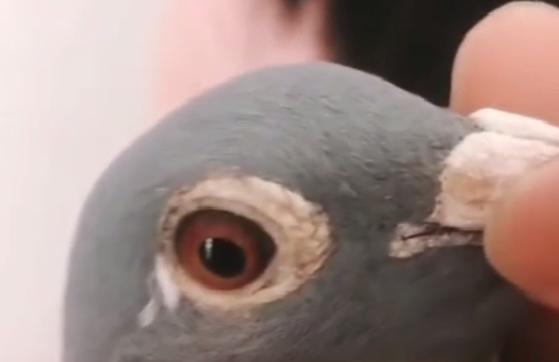 2019���������۸���ߵĸ���