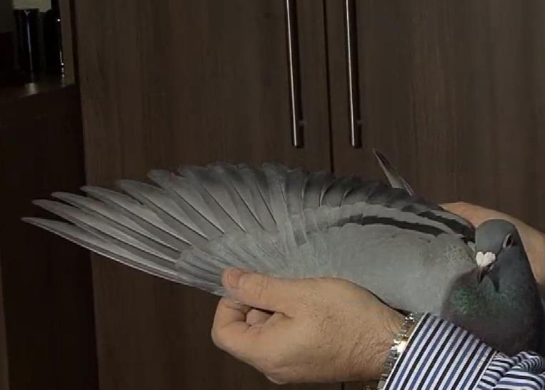 �����-����KBDB����������ŵ�ꡱ