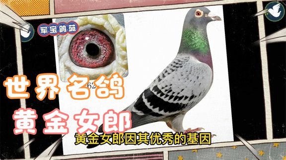 �������ƽ���ԣ������ָ롰�ƽ�Ů�ɡ�