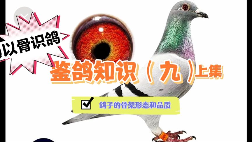 �Թ�ʶ�� ���ӵĹǼ�͸¶��ʲô��