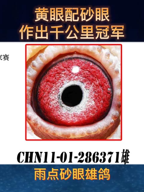 ÿ��һ�룺������ɰ������ǧ����ھ�