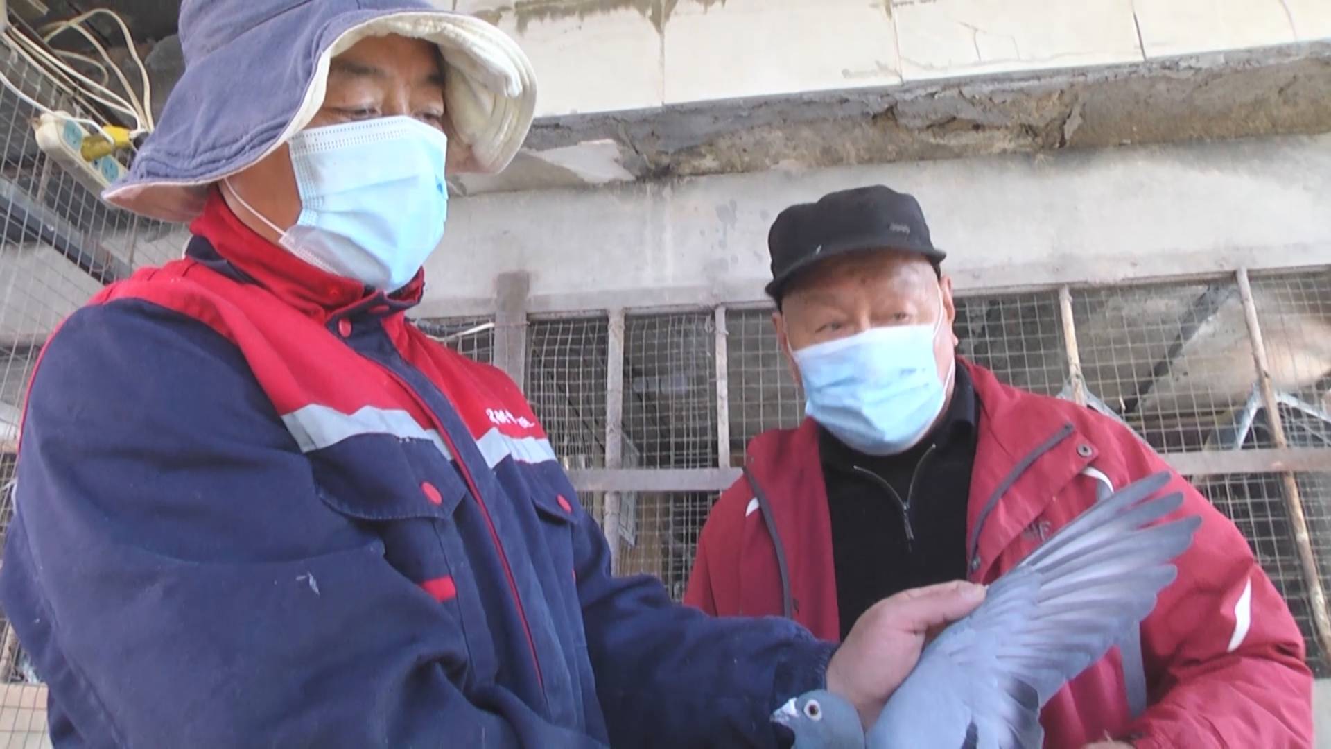 ����������ʮ�أ��Ÿ���Ҵ�������