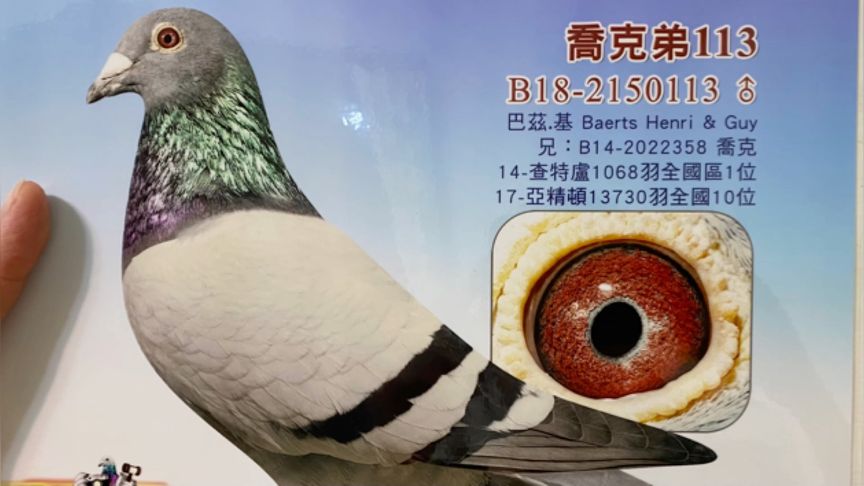 ����ʱ���Ұ���.������ Ѫͳ���Ͼ�������