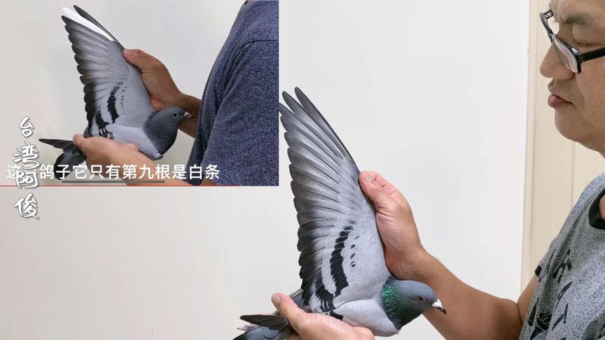 �������� �����ƽ������Ȼ������