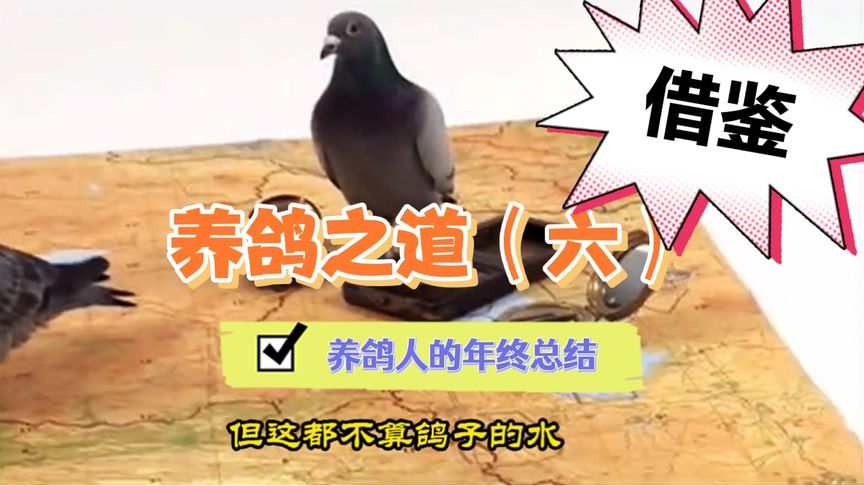 ����һ�� ������ѽ���������ܽ�