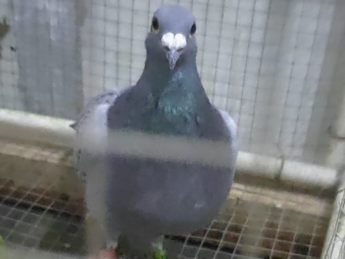 ��������ʧ�����ָ�����⣿