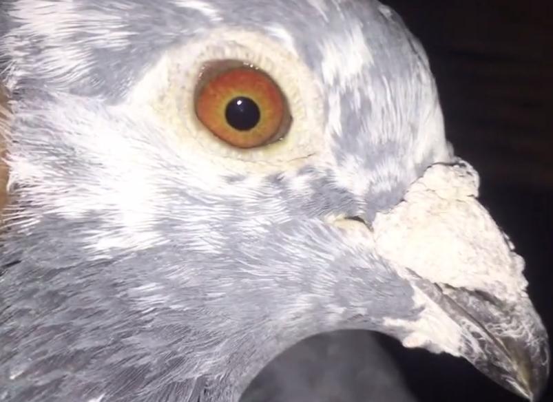 ����7��ǧ�����Ÿ� �����ع鳣ʤ����