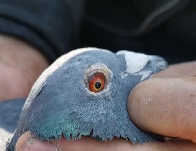 ������50���ռ���� ����֪���Ĺ���̽��������