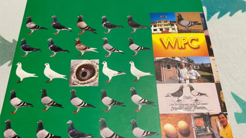 �����򣺷������������·����