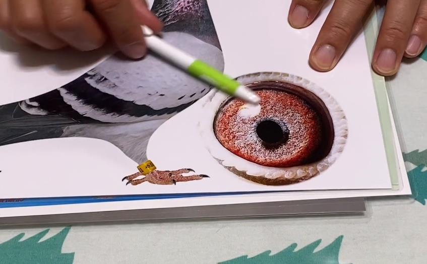 ��̸���� ���ۺ����ô����