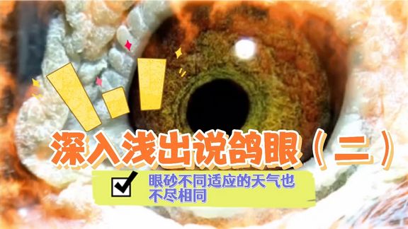 ����ǳ��˵���ۣ���������ɰ��Ӧ������