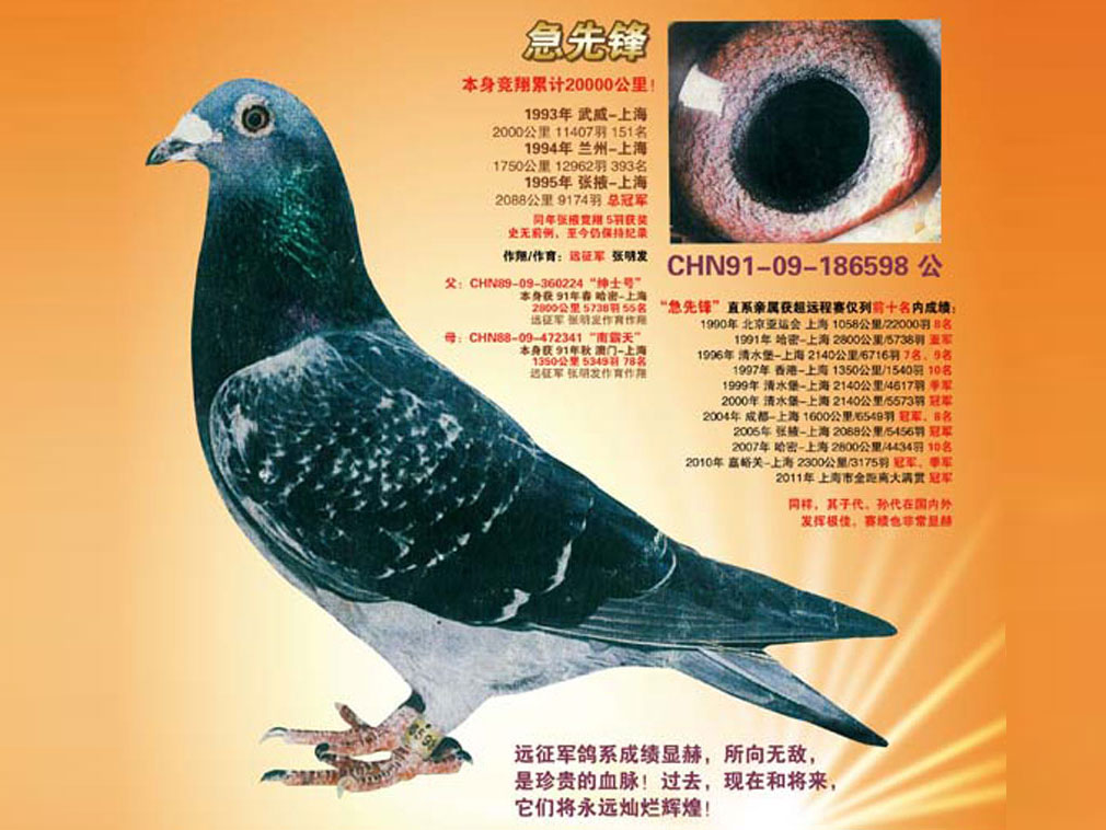 ���ɳ�Զ�� ��Ҵ�ھ������ȷ桱