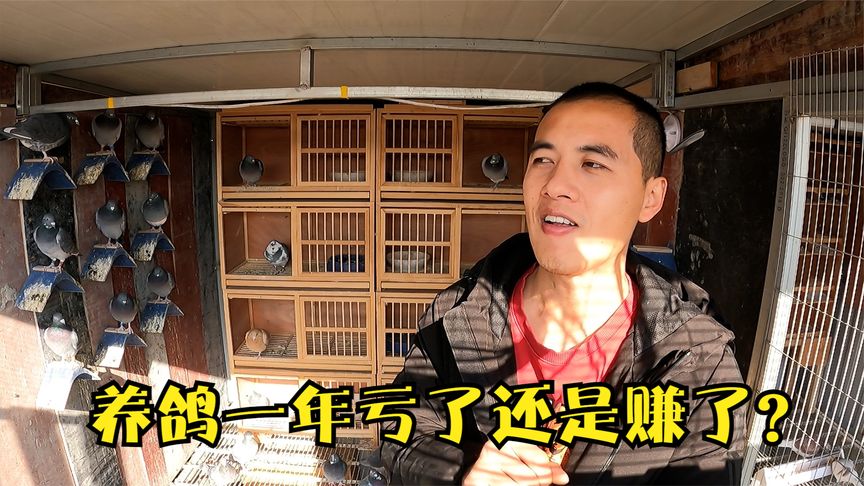 �ܽ᣺����һ����˻���׬�ˣ�