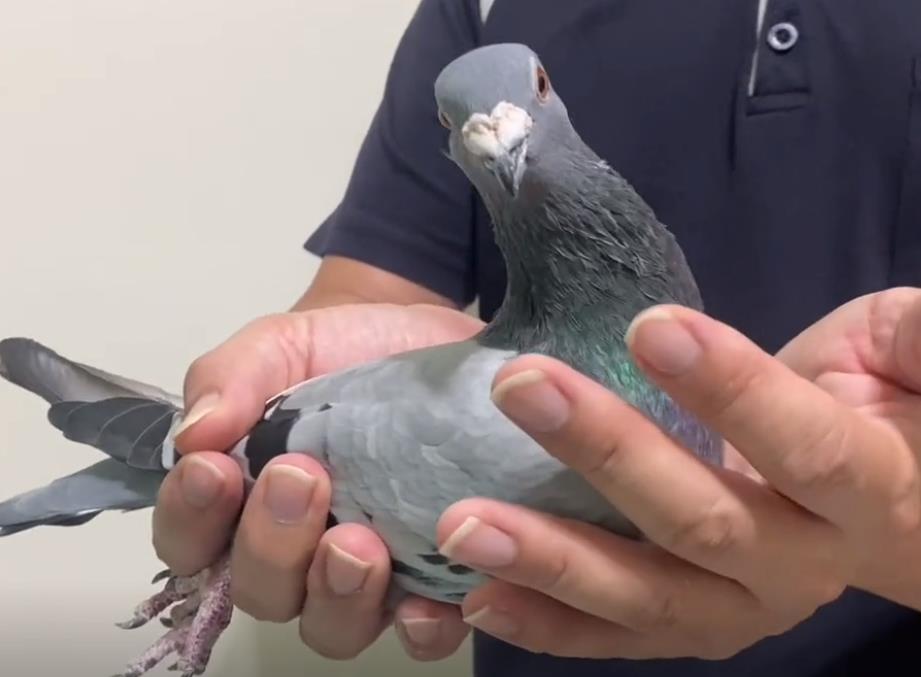 ̨�����ͣ����� ��� ����