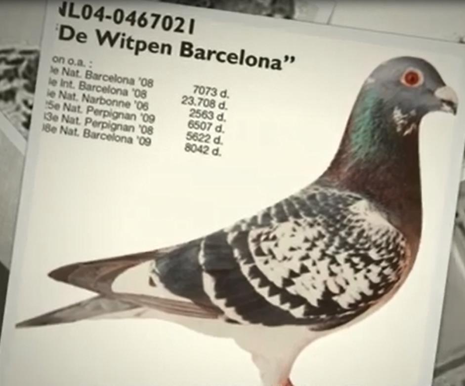 �뺣ʰ��������ά�����ӵĹ���