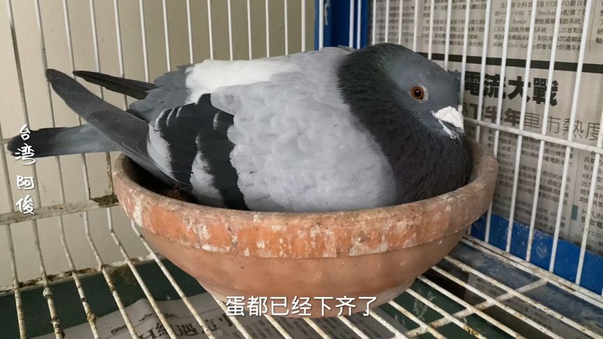 �����׸���׼������ �µ����ͳԴ��