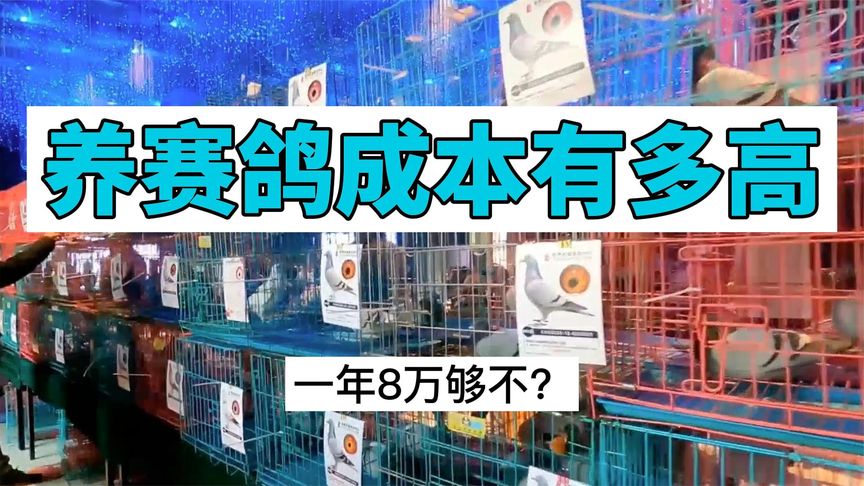 ������ɱ�Ҫ���� һ��8�򹻲���