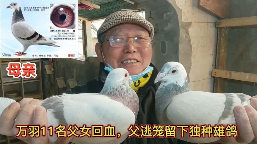 ����11����Ů��Ѫ �����������¶�����