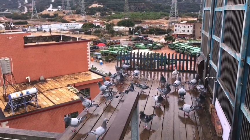 �ϱ������в��� ������������ϾͿɿ���