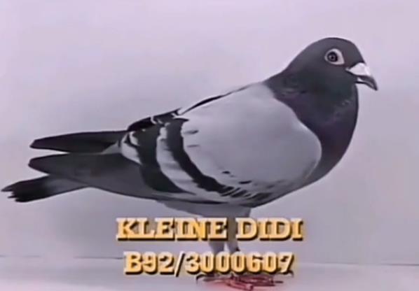 价值10万美元的90年代神鸟“小迪迪”