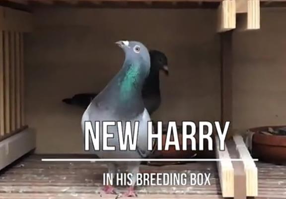 �����˹���������ھ����¹�����