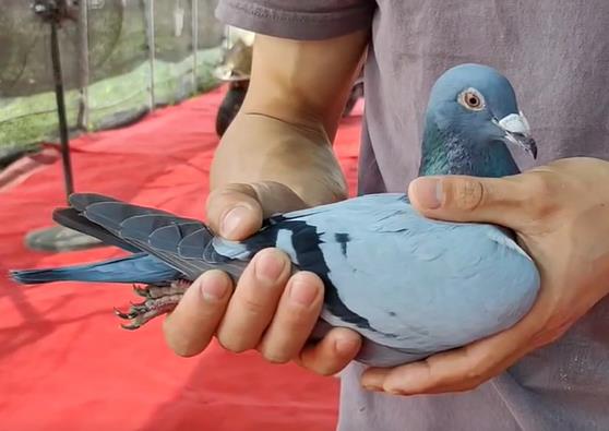 ���Ⱦŷ��� �Ĵ�������ع��Ǿ�����