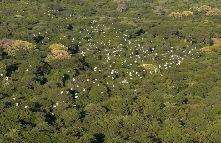 ���޹���ֱ����ȫ�̸����������