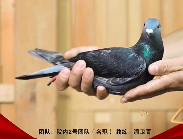 �����ͣ��Ĵ������Ĺظ������Ǽ���