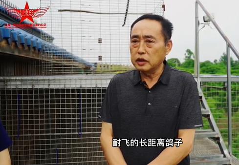 ��������ھ����ϼ�԰��ʲô�����ܷ��Ĵ����ߣ�