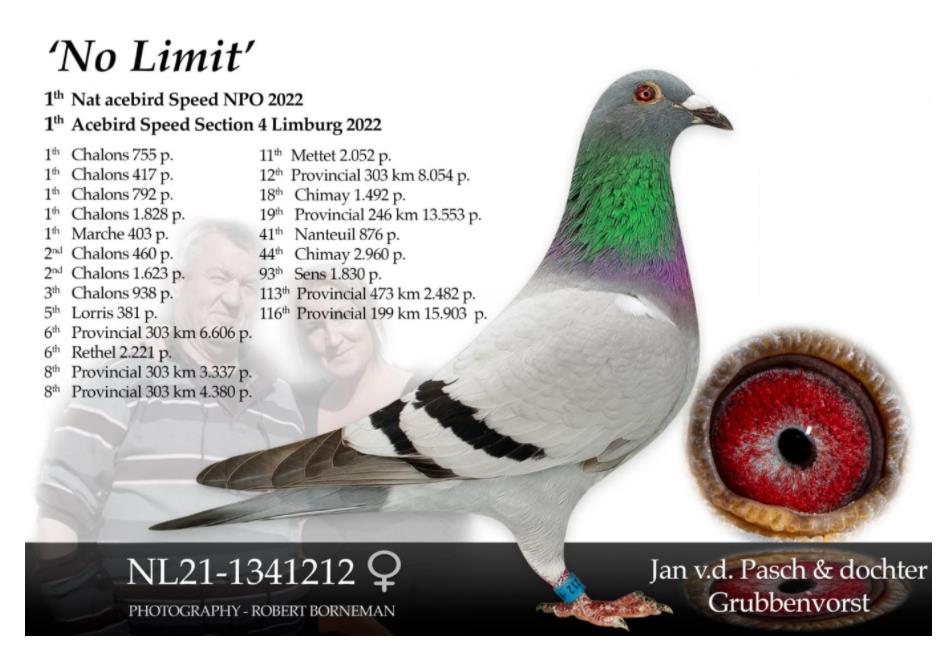 2022�����ȫ���ٶȸ����ھ�