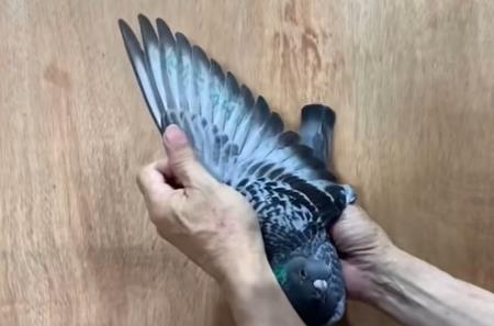 ̨�山���ļ������±��и����ھ�����