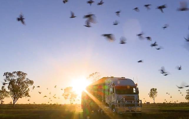 ��¼����21��˾��Աһ������ŷ�