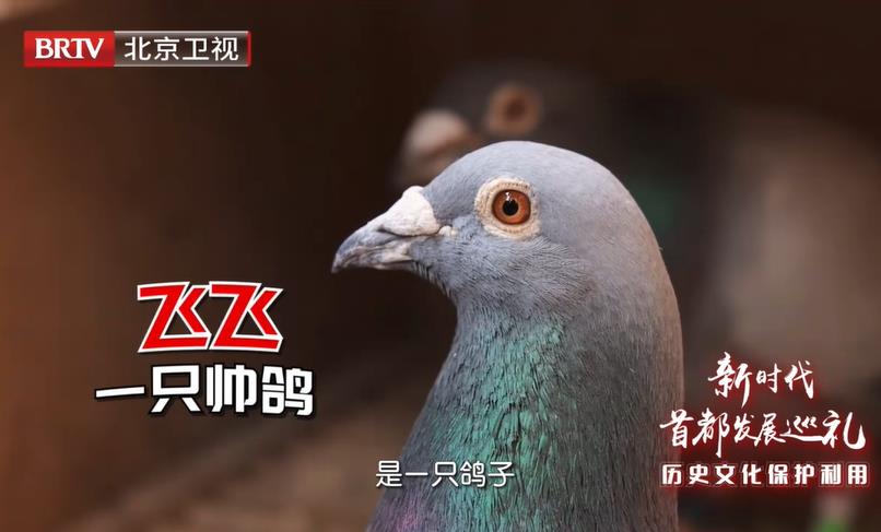 ���������߱����ø���ס������һ��